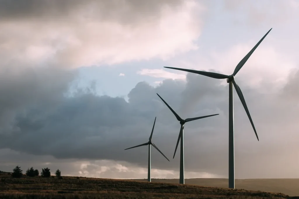 5 façons de se former aux pratiques écologiques